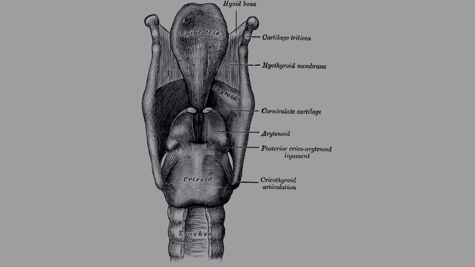 Laryngology