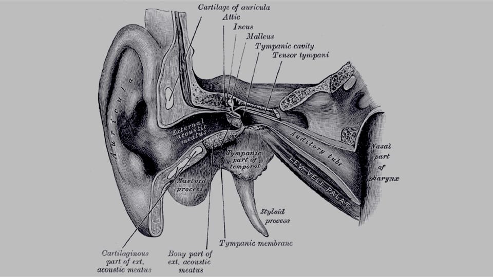 Otology